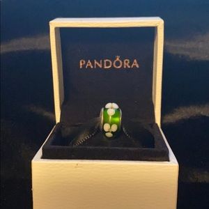 Pandora Murano Glass Silver Bead